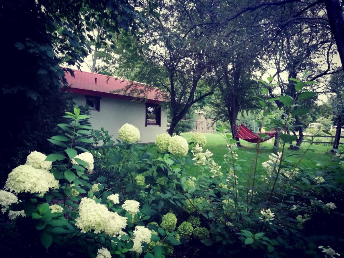 Vila Babie Lato Wlodarka Exteriér fotografie