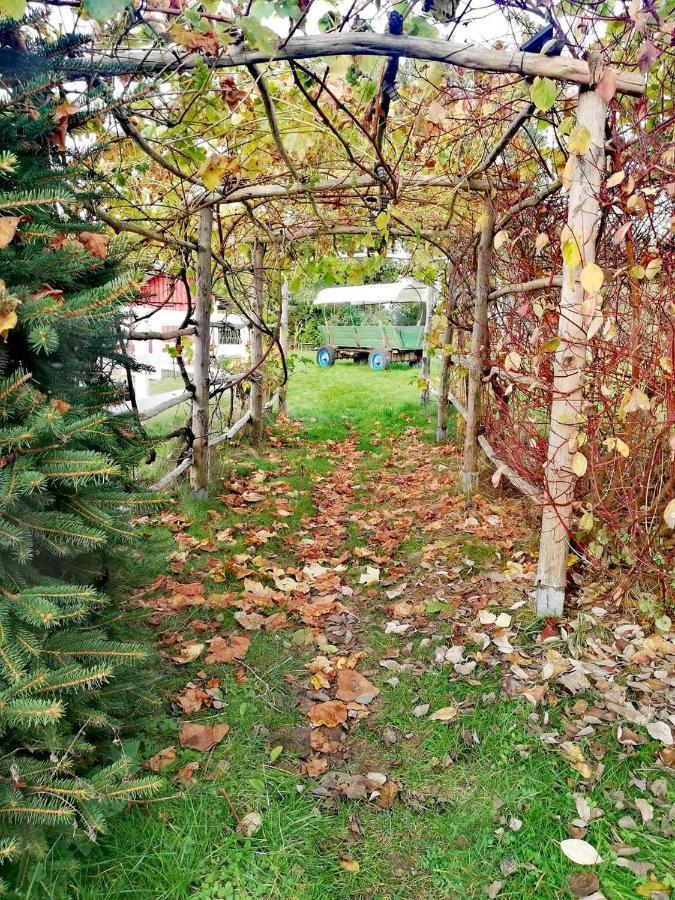 Vila Babie Lato Wlodarka Exteriér fotografie