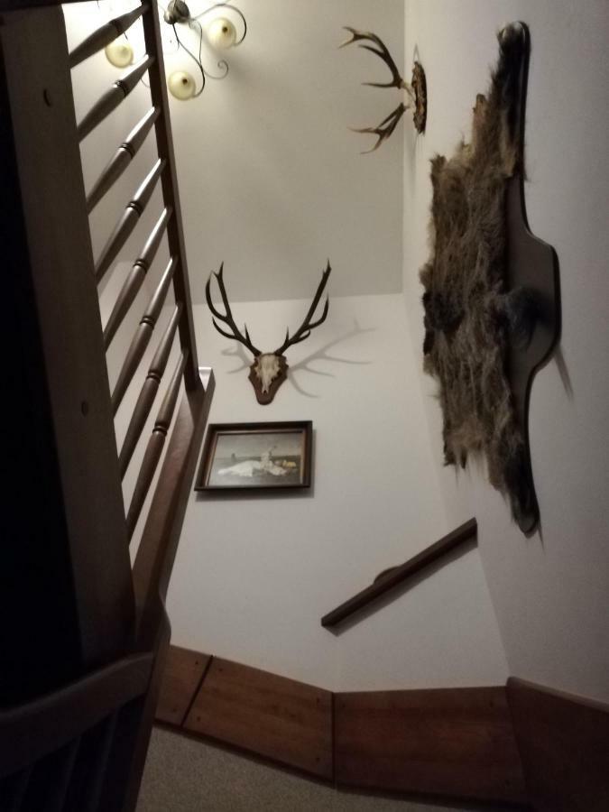 Vila Babie Lato Wlodarka Exteriér fotografie